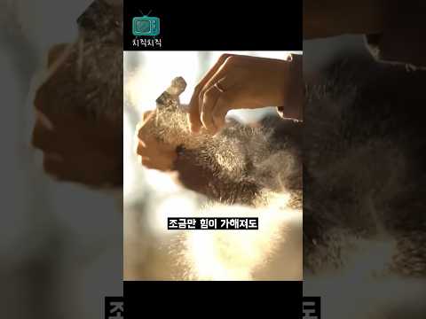 나사가 연구하는 초강력 유리의 비밀