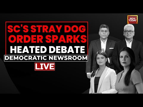 The Newsroom 'Dogfight'! LIVE | Delhi Stray Dogs Relocation Order | Democratic Newsroom LIVE