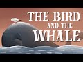Whale and Bird Friendship Dynamics