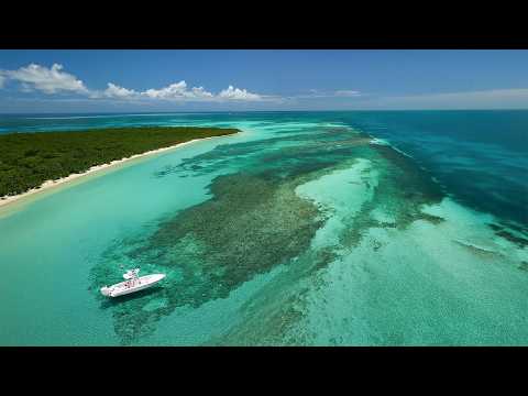Florida dominates boating & fishing.. Here's why. video thumbnail