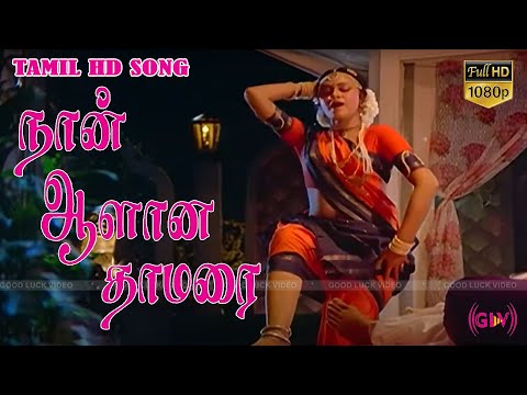 ஆளான தாமரை வீடியோ பாடல் | கே.பாக்யராஜ், ஷோபனா | இது நம்ம ஆளு வீடியோ பாடல்