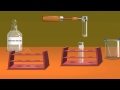 Chemical Reactions and Precipitate Tests