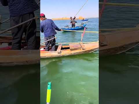 smart fishing hunting parts 512 đ #fish #fishcatching #ytshorts