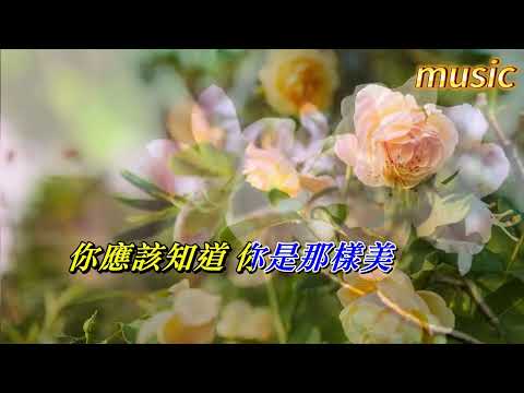 黃玫瑰 〈華語〉刀郎KTV 伴奏 no vocal 無人聲 music 純音樂 karaoke 卡拉OK 伴唱黃玫瑰 〈華語〉刀郎