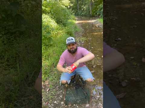 Peanut Butter In A Minnow Trap!?!? #jesus #kentucky #creek #minnows #outdoors #trapping #peanut