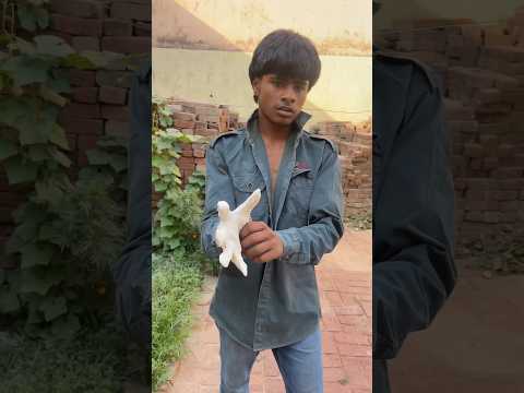 Jamalu Panja King🤣😂 @Jamalu_funny_420 #shorts #ytshorts #armwrestling #funny #comedy