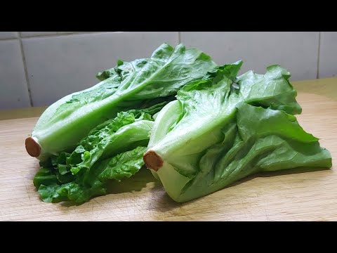 SELADA MENTAH DIMASAK GINI AJA ENAK BANGET! BIKIN KAMU NAMBAH TERUS!