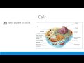 Cell Structure and Function Concepts