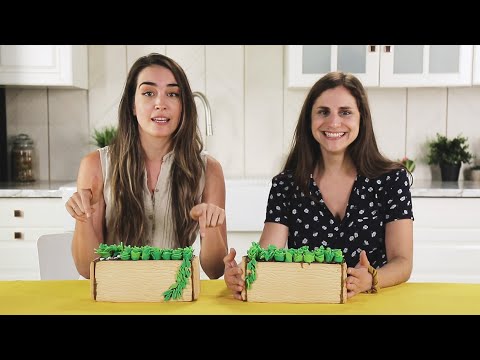 We Tried to Build an Edible Succulent Garden! ? Tasty