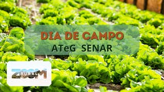 Zoom Rural | Inovação no Campo: Dia de Campo ATeg Senar