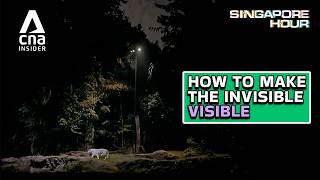 How To Run The World's First Nocturnal Wildlife Park | Singapore Hour