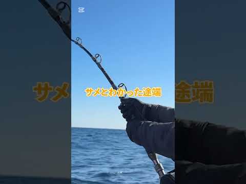 熊野モンスター降臨 #釣り