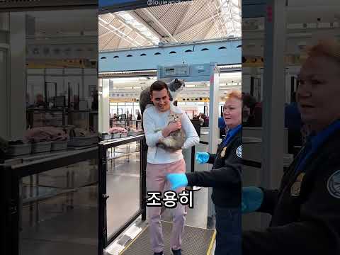 <strong>공항</strong> 직원도 놀란 고양이들의 행동 🐱✈️