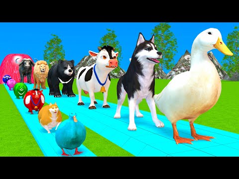 Paint Animals Duck,Tiger,Cow,Lion,Beer,Gorilla,Elephant,Dinosaur Fountain Crossing Animal Game Mo