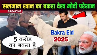 Bakra Eid 2025 Salman Khan ne kharida 5 Crore ka bakra सलमान खान ने ख़रीदा 5 करोड़ का बकरा Salmankhn