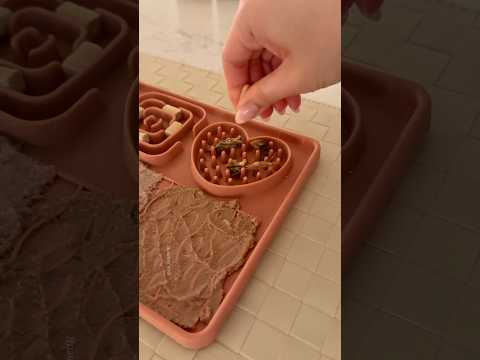 Enrichment mat for my cat!! 🎧#ragdollcat #enrichment #asmr #asmrsounds #catfood #catfeeding