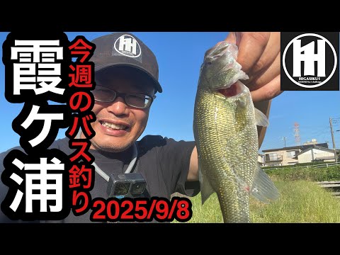 バス釣り今週の霞ヶ浦！水の中は秋になった？