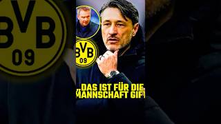 🚨BVB in der Krise: Hamann übt Kritik! #bvbnews #bvb #borussiadortmund #fussball #bundesliga