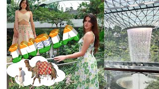 First Indian wedding 🇮🇳 Mehndi ceremony, GRWM, shopping in Chandigarh and more