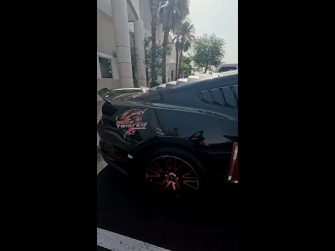 2015 Ford Mustang Ecoboost Black and Red