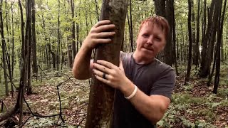 ASMR | Giving the Trees a Massage 🌳🌲