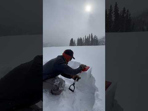 Avalanche Class Reminder