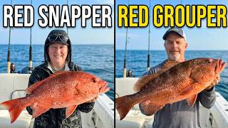 Red Grouper and red snapper fishing with Damon, Teresa and Ben offshore on 9-12-26.