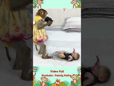 Monkey Hair Red was worried when Monkey Mit peed on the bed