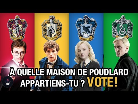 À Quelle Maison de Poudlard Appartiens-Tu ? [SONDAGE]