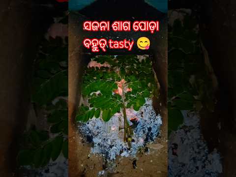 ସଜନା ଶାଗ ପୋଡ଼ା #youtubeshorts #bhajan #bhajansong #odiasong #viral #shortvideo #trending #minivlog