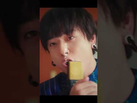 ぼくのとこからじゃないと この虹は見えないよ 「#紋白蝶 feat. #石原慎也 (Saucy Dog)」 #東京スカパラダイスオーケストラ #スカパラ