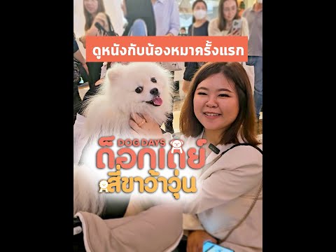 ดูหนังเรื่อง dogdays สี่ขาว้าวุ้น รอบสื่อบรรยากาศในงานจะเป็นยังไง