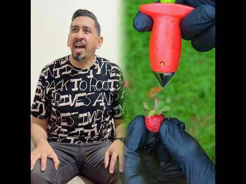 شوفوا شنو كيوقع كل صباح