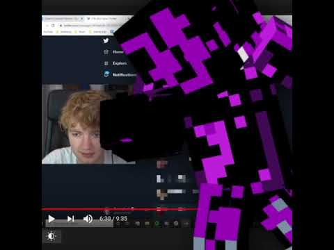 i'm in a TommyInnit video