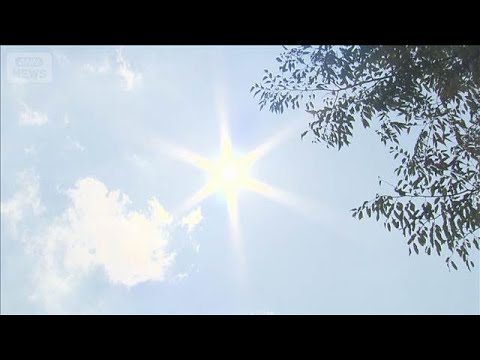 都内22日の熱中症搬送560人、2日連続で最多更新　栃木では水田作業の男性死亡【知っておきたい！】【グッド！モーニング】(2026年7月24日)