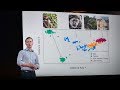 Understanding the Microbiome and Its Impact