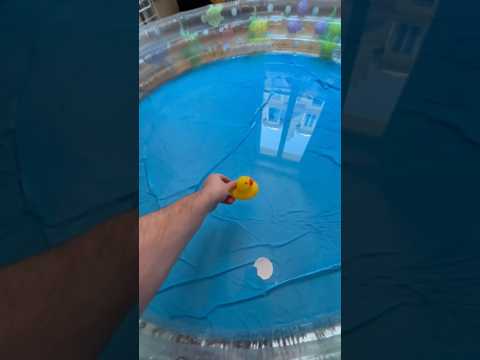 Une piscine incroyable au centre de Paris ?‍♂️