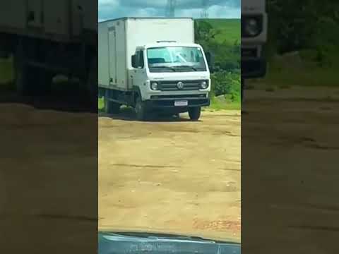 Escapou fedendo 🫣🫣. #shortvideos #gado #shortsviral #fy