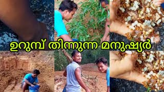 ഉറുമ്പ് തിന്നുന്ന മനുഷ്യർ  urumb thinnunna manushyr