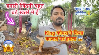 हमारी जिंदगी खतरे में है 🥹आज मारते मारते बचे 🙏 King Kobra 🐍 सांप ने किया हमला | Couple Life Vlogs |