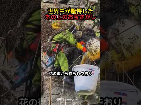命懸けのハチミツ採取 #shorts