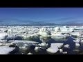 Impact of Sea Ice Loss