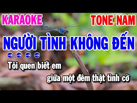 Karaoke Người Tình Không Đến Tone Nam Nhạc Sống Mới 2023 | Karaoke Thanh Hải