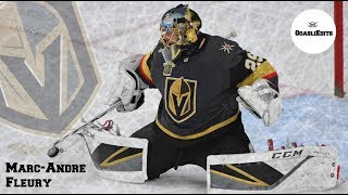 Marc Andre Fleury - Highlights