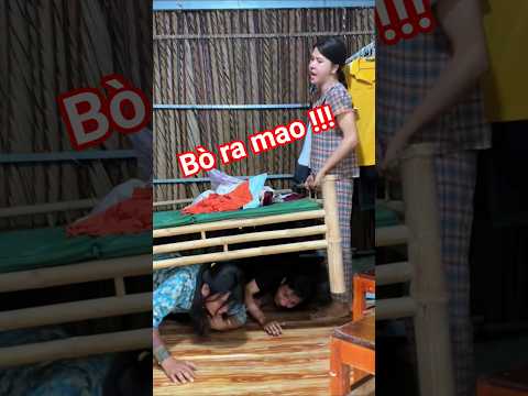 #shorts Khi vợ chồng trốn nợ bình an #ngoantv