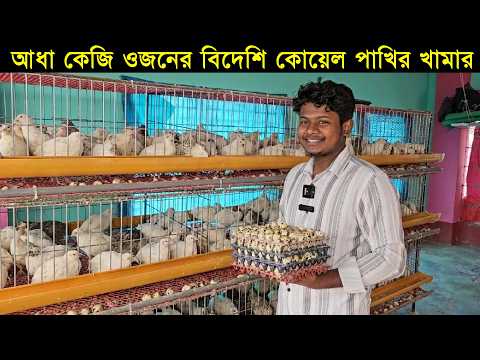 আধা কেজি ওজনের বিদেশি কোয়েল পাখির খামারে বাজিমাত তরুন উদ্যোক্তা রাহুলের।Qual pakhi