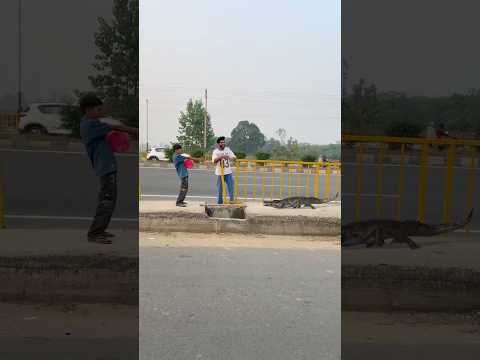 Magarmacch Ko Pagal Bana Diya ๐ #comedy #youtubeshorts #funny #shorts #shortsfeed