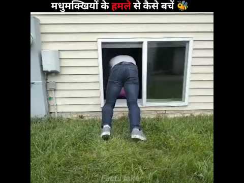 Never Make This Mistake If a Swarm of Bees Attacks You |😨 #shorts