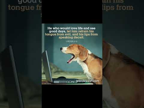 #dailybibleverse #pleasesubscribe #dog #petlover
