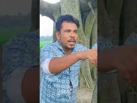 My Fast Video